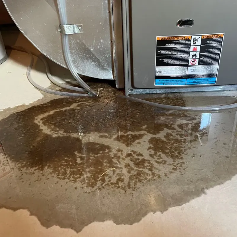 Pipe Burst and Leak Restoration in Cayuco, PR